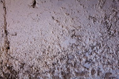 kaba duvar Menekşe dokusuna yakın çekim
