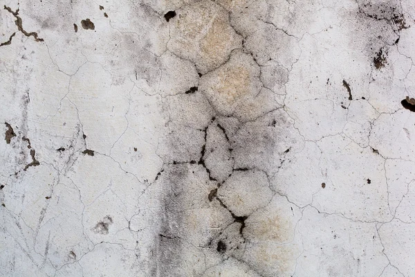 Gri beton duvar çatlakları soyut, yakın çekim — Stok fotoğraf
