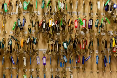 tuşları ile yönetim kurulu.