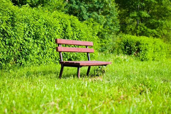 Lonely bench in the park — Stock Photo, Image