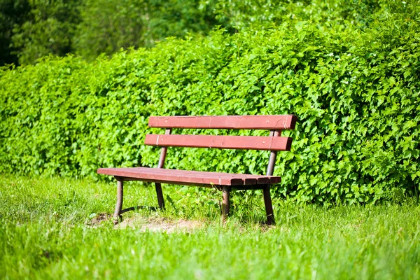 Скамейка в парке — стоковое фото