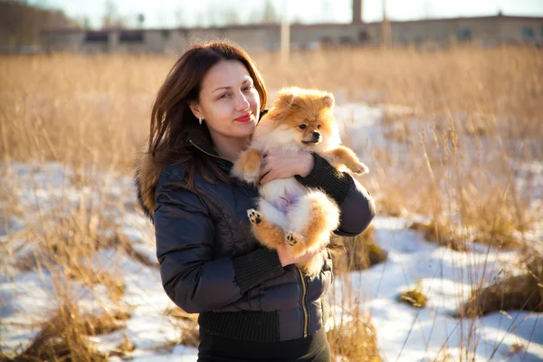 Mladá dívka drží psa špic. hosteska miluje svého mazlíčka. fotografování venku — Stock fotografie
