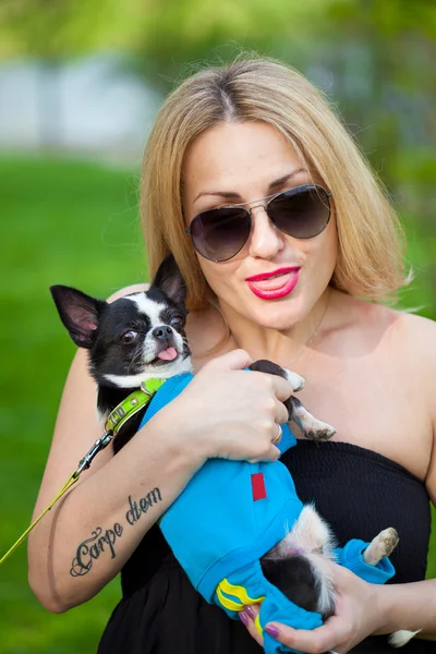 Belle fille avec chien chihuahua sort sa langue et souriant — Photo