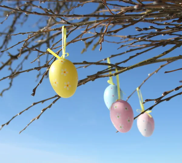Huevos de Pascua colgando en ramas —  Fotos de Stock