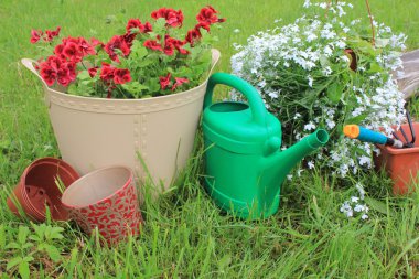 Bahçe aletleri ve çiçekler.
