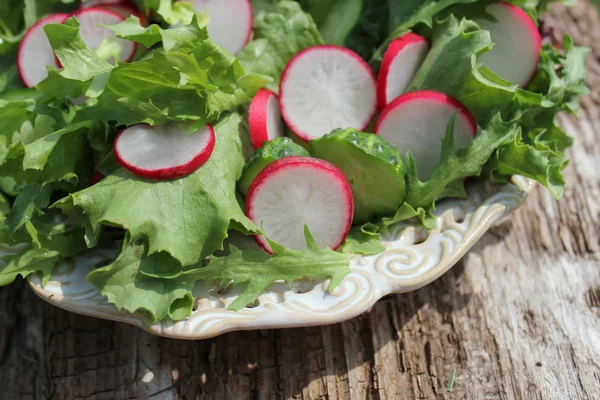 Fresh salad with radishes, lettuce, endive — Stock Photo, Image