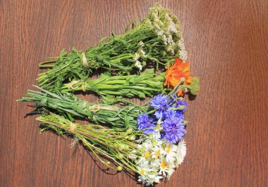 kahverengi zemin üzerine taze otlar