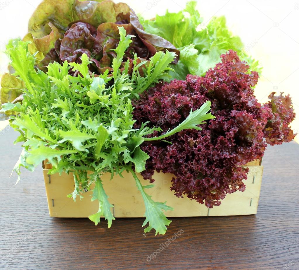 Green and red lettuce in box
