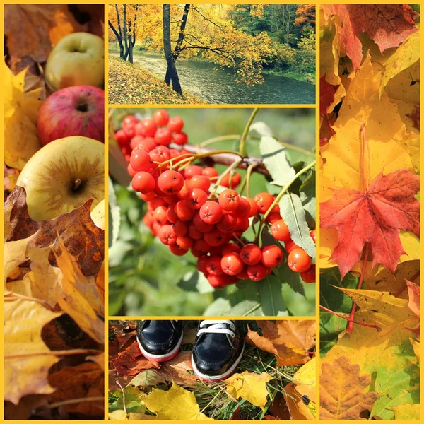 Collage d'automne — Photo