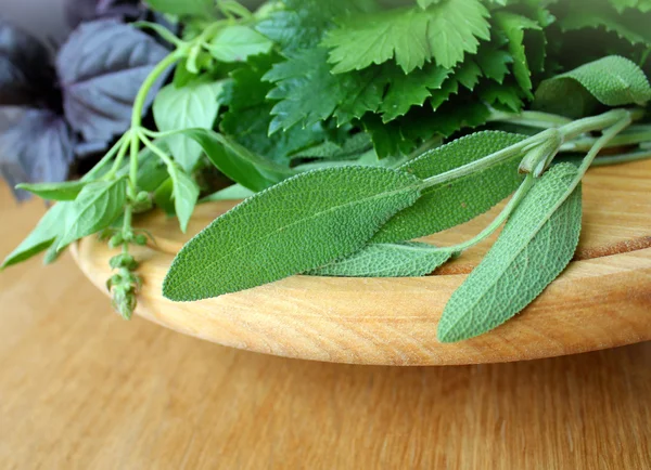 Fresh herbs on cutting board — Stock Photo, Image