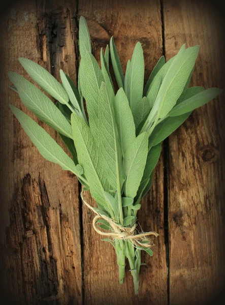 Fresh sage on wooden table — Stock Photo, Image