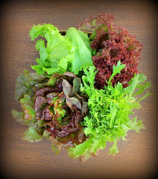 Винтажный фото-зеленый и красный салат — стоковое фото