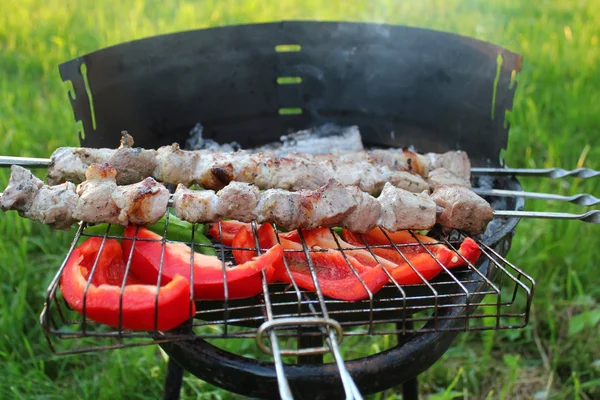 Grilled kabob with pepper — Stock Photo, Image