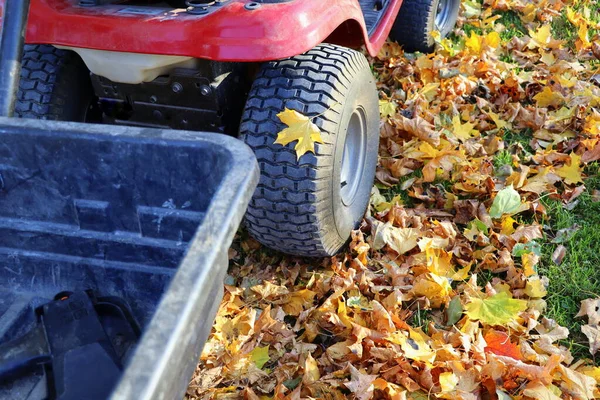 Rasaerba Rosso Con Grande Contenitore Giardino Concetto Giardinaggio Falciatura Lavoro — Foto Stock