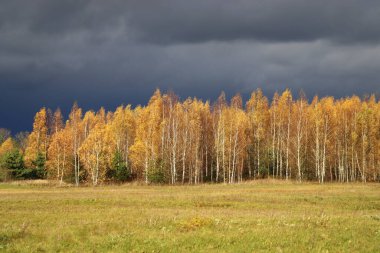 Dramatik koyu mavi gökyüzü manzarası. Derin karanlık manzara. Fırtınadan sonra akşam güneşi koyu mavi gökyüzünde. - Evet. Karanlık dramatik gökyüzü ve orman manzarası .