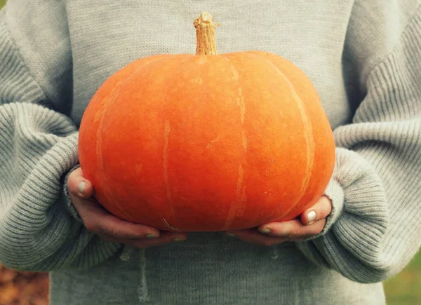 Mulher segura grande abóbora em suas mãos, tema de Halloween, colheita de outono, mãos de mulheres — Fotografia de Stock