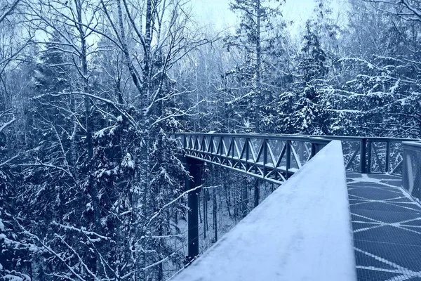 Passarela de metal sobre o riacho, na floresta nevada de inverno, bela paisagem de inverno — Fotografia de Stock