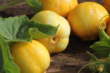 Çiftçi pazarında sarı ya da limon salatalığı