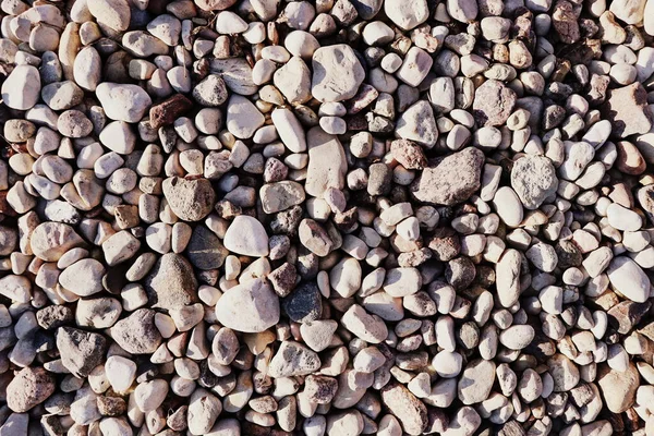 Pebble fond abstrait avec pierres rondes et sèches reeble — Photo