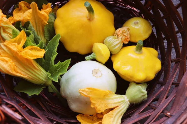 Beautiful Yellow White Patissonsin Basket Table Fresh Crop Vegetables Top — Stockfoto