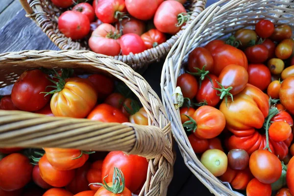 Fresh Colorful Ripe Heirloom Tomatoes Basket Wooden Background Top View — Fotografia de Stock