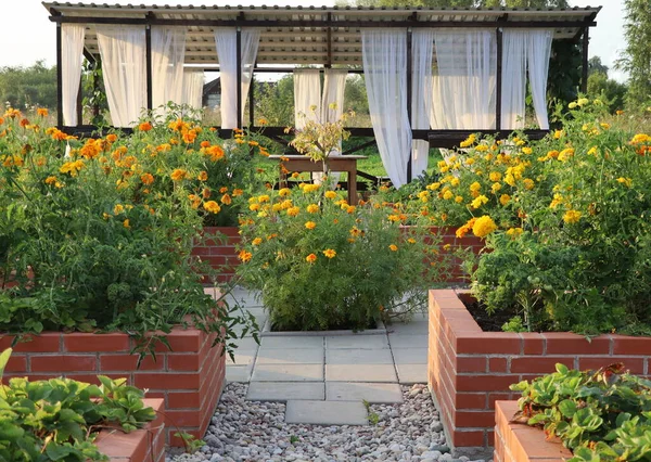 A modern vegetable garden with raised briks beds . Raised beds gardening in an urban garden .