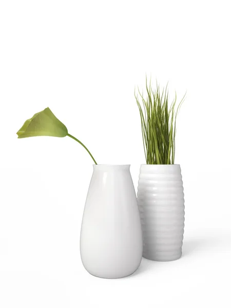 House plant Isolated over white — Stock Photo, Image