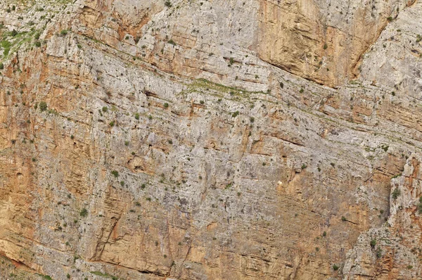 岩の片。背景やテクスチャ — ストック写真