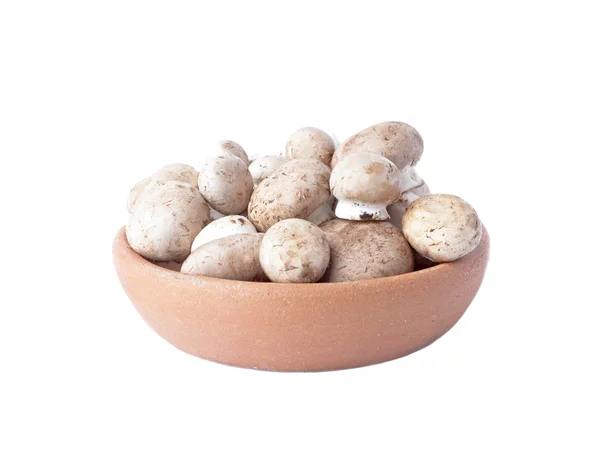 Fresh mushrooms in a bowl of clay isolated over white — Stock Photo, Image