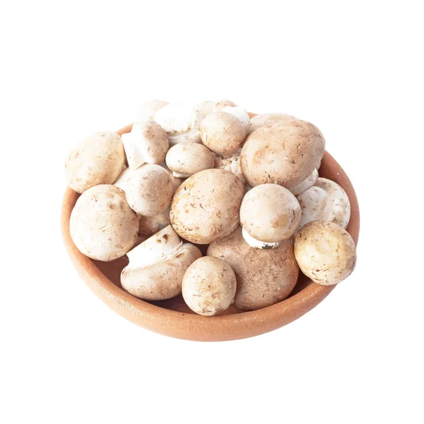 Fresh mushrooms in a bowl of clay isolated over white — Stock Photo, Image