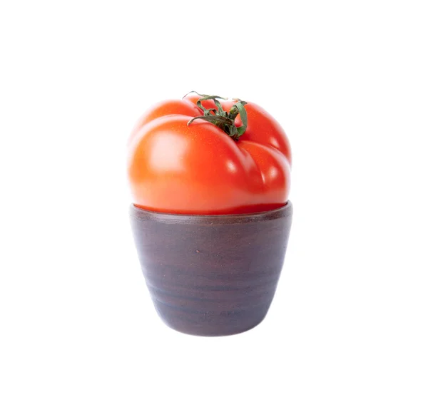 在白色背景上孤立的粘土杯番茄 — 图库照片