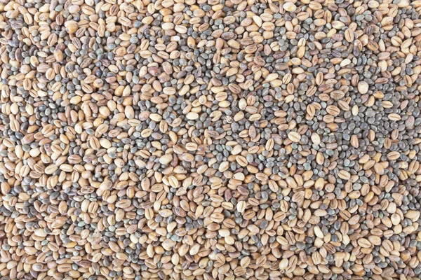 Ground wheat and hemp seeds. — Stock Photo, Image