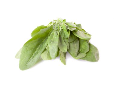 su ile taze ıspanak üzerinde izole beyaz arka plan damla