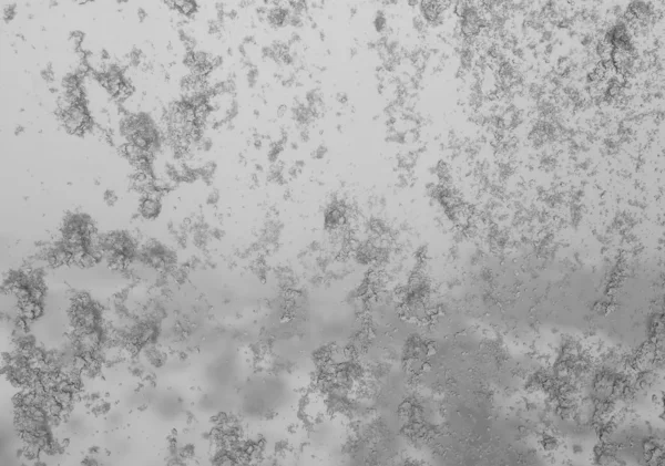 Fondo Nieve húmeda pegada al cristal de la ventana — Foto de Stock