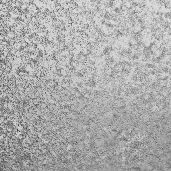 Background Wet Snow Stuck to the Windowpane — Stock Photo, Image