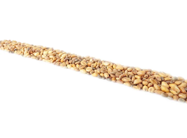 Vodorovná čára skládající se z pšenice a konopí izolovaných na bílém pozadí Royalty Free Stock Obrázky