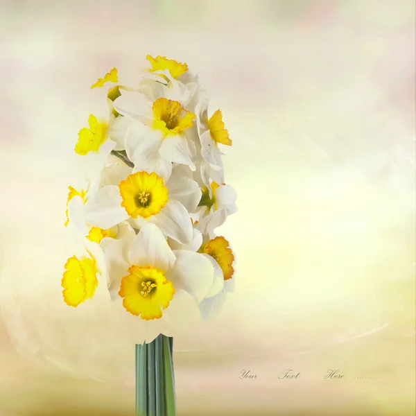 Carte avec Bouquet de jonquilles sur fond aquarelle — Photo