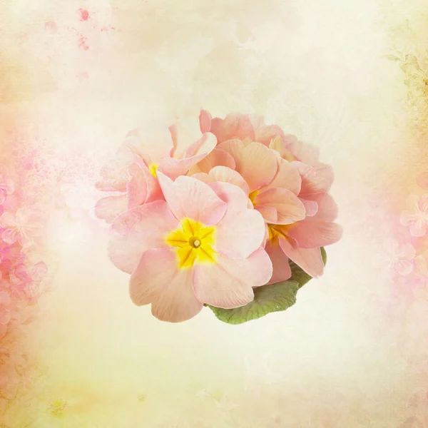 Card with Flower buds on watercolor background — Stock Photo, Image