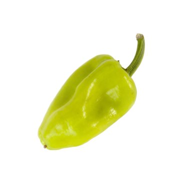 yeşil biber beyaz bitti izole