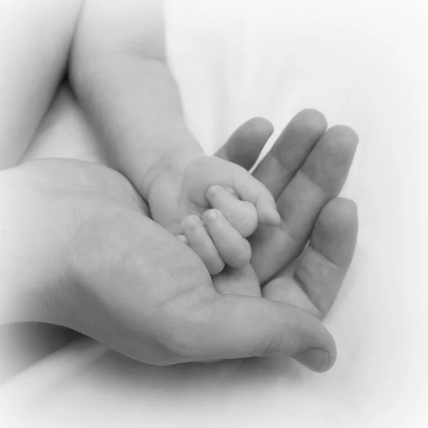 Babyhand in der Handfläche der Mutter in schwarz-weiß lizenzfreie Stockbilder