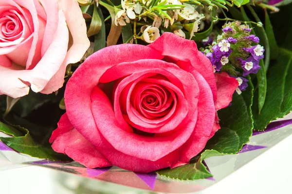 Red rose — Stock Photo, Image