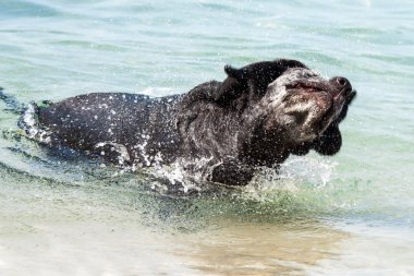 Savunma Bakanlığı
