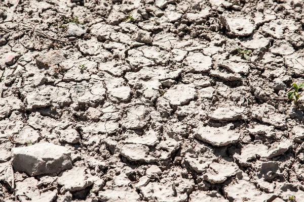 Tierras — Foto de Stock