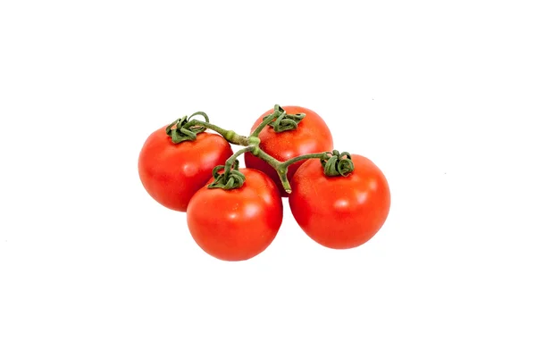 Tomates — Foto de Stock