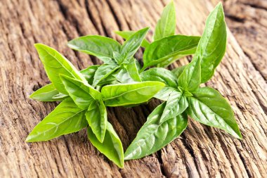 fesleğen yaprakları