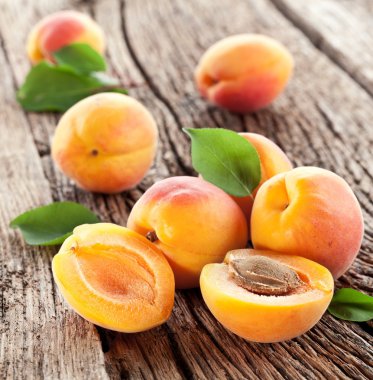 yaprakları ile kayısı