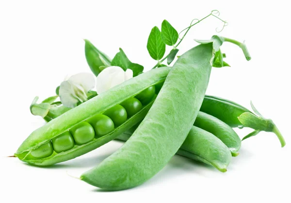 葉緑エンドウ豆の鞘 — ストック写真