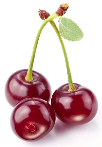 Cerejas com folhas em um fundo branco . — Fotografia de Stock