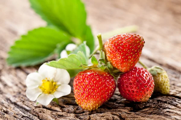 Strawberries with leaves — Stock Photo, Image
