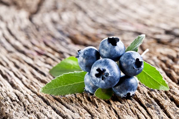 Blueberries with leaves — Stock Photo, Image